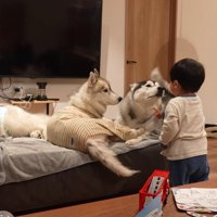 「こら！ダメだよ！」