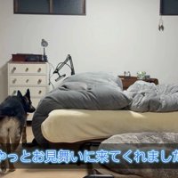 やっとお見舞いに来てくれました♪