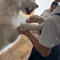 帰宅後のお子さんたちとまる君4