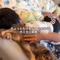 遊び始めるアムくん