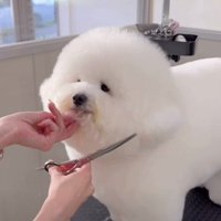 丸みを強調したスタイル