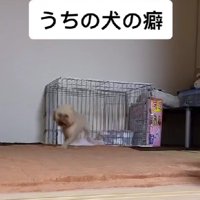 「もったいぶらないで…」