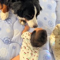 赤ちゃんの匂いをクンクン…