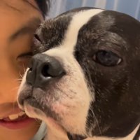 女の子に頬ずりされて片目を閉じる犬