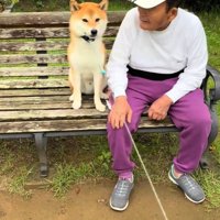 リードを引っ張り始める飼い主さん
