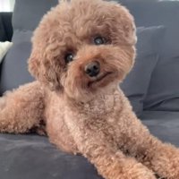 可愛くて個性的なアフロちゃんでした