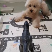 「これ以上来ないで！」
