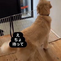 エマちゃんとパパさんの再会3