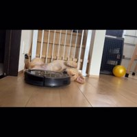 犬の体の側面を吸いながら通るルンバ