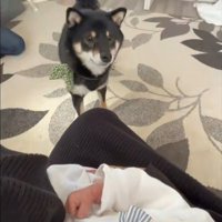 嬉しそうにしっぽをフリフリ♪