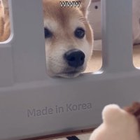 悟りを開いた…？