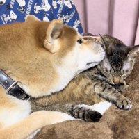 「ねぇねぇー」