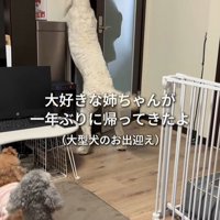 ソラちゃんの熱烈歓迎2