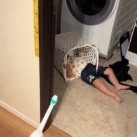 カゴに入る女の子