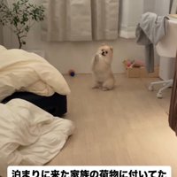 来客時にも「お願い」を披露