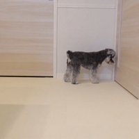 寂しそう…