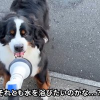 「負けないぞ～♪」