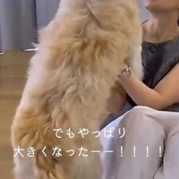 飛びついてくる子犬を見上げる女性