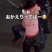 黒い犬の前にしゃがむ男性
