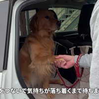 「お願いだから帰ろう？」