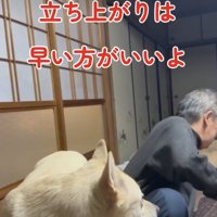 「やっとだわ」