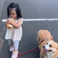 女の子を見守る犬