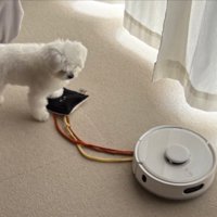 ハプニング