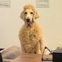 ヘアスタイルが個性的！