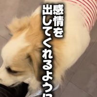 ダニエルくんとの数ヶ月間6