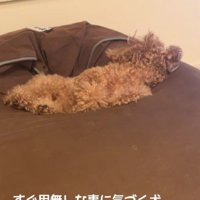 名前を呼んでみると…