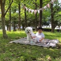 1歳の誕生日を迎えた赤ちゃんと小型犬