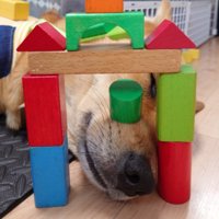 白目をむいて熟睡する風太くん