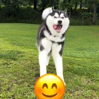 特大の笑顔にホッコリ