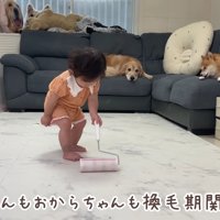 コロコロを駆使