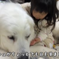 シュシュちゃんが起きると…