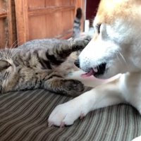 微笑ましいワンシーンでした