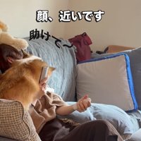エルモちゃんのおもてなし3
