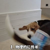 届かなくて、ぐるぐる…