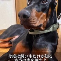 凛々しい表情が素敵