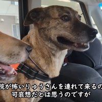 もかちゃんは落ち着いています