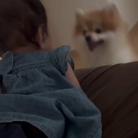 「一緒に遊ぼう！！」