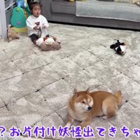 お片付けを諦めました