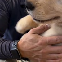 仕事に行きたくない…