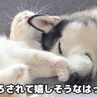安心してお昼寝再開♡