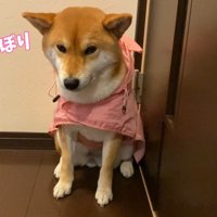 哀愁漂う姿が愛おしい！