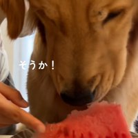 思い出した暖くん