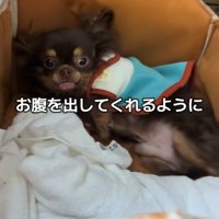 テープくんの変化2