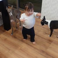 赤ちゃんとワンコたちの日常3