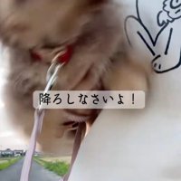 荒ぶる悠ちゃん