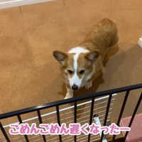 お母さんをお出迎え♪